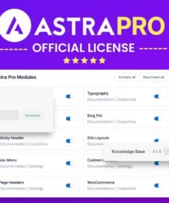 Astra Pro Addon For Astra Theme | Original License | One Time Payment – Exclusive Deal
