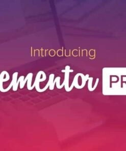 Elementor PRO WordPress Page Builder + Pro Templates 3.27.6