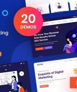 Ryse – SEO & Digital Marketing Theme 4.0
